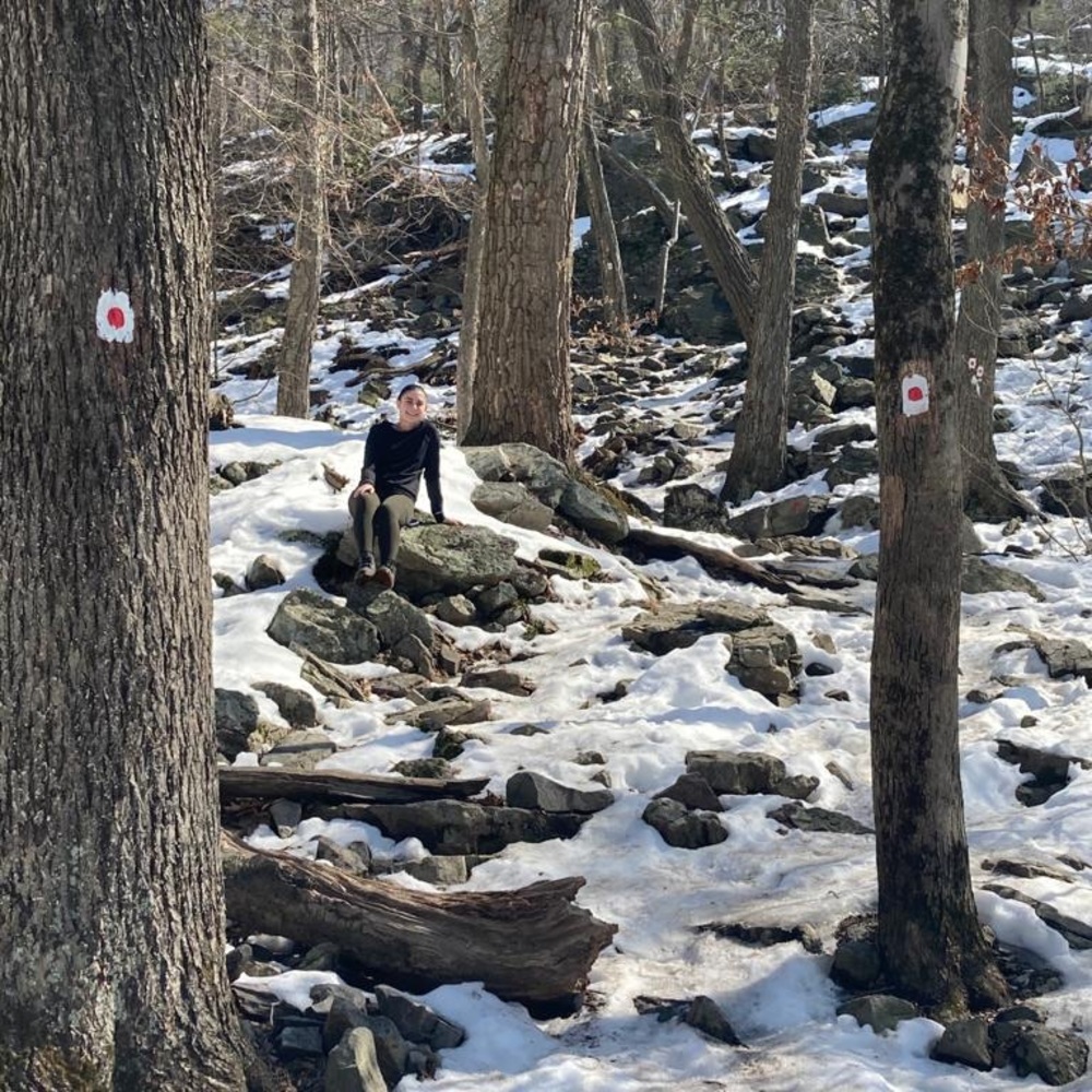 Meet your Posher, Allegra